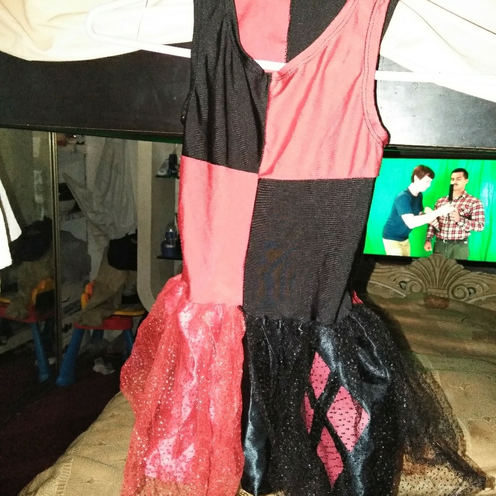 Harley quinn costume